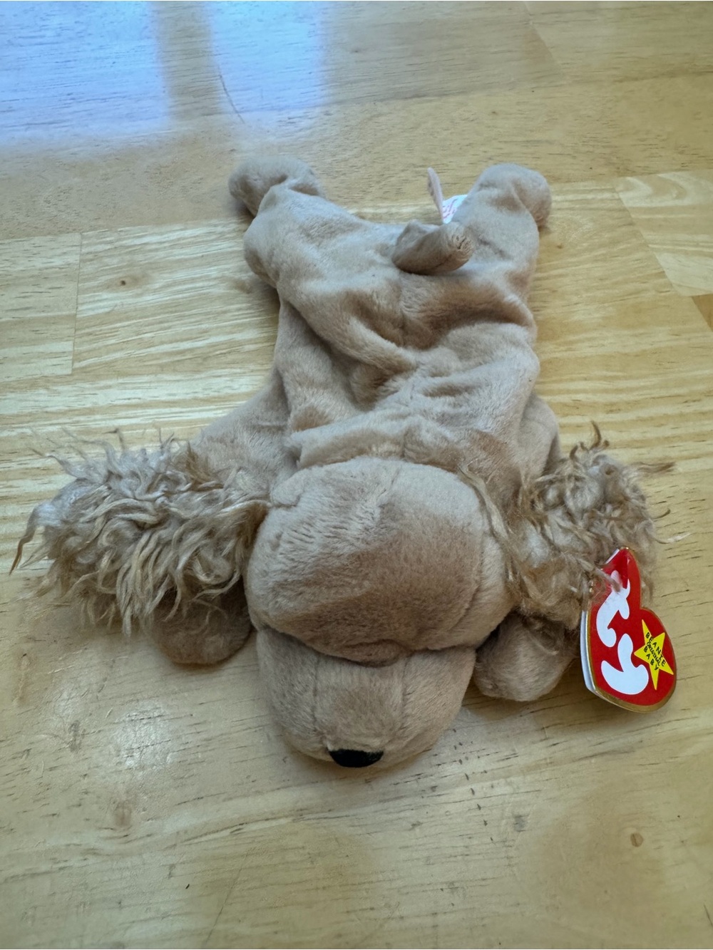 Ty Beanie Babies “Spunky”
